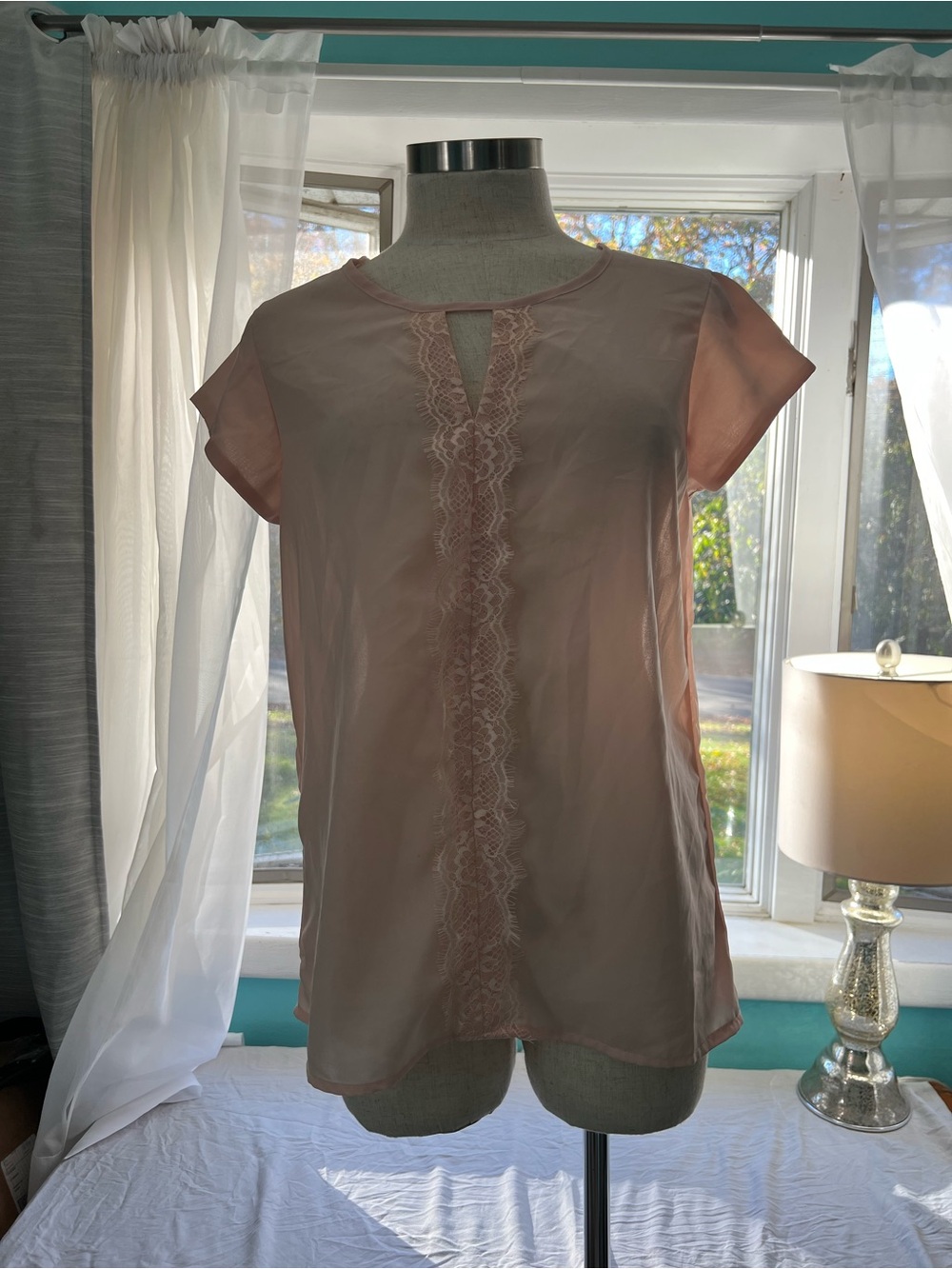 Japna Soft Pink Lace-Front Cap Sleeve Blouse